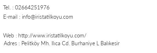 ris Tatil Ky Burhaniye telefon numaralar, faks, e-mail, posta adresi ve iletiim bilgileri